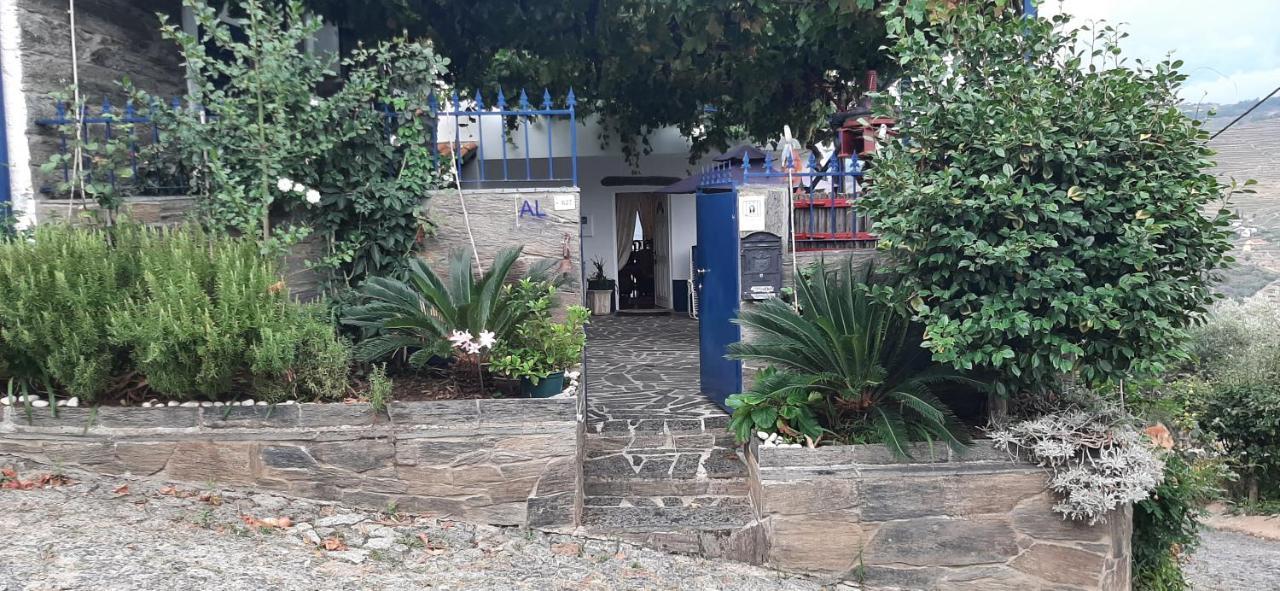 Encosta Do Pinhao Βίλα Casal de Loivos Εξωτερικό φωτογραφία