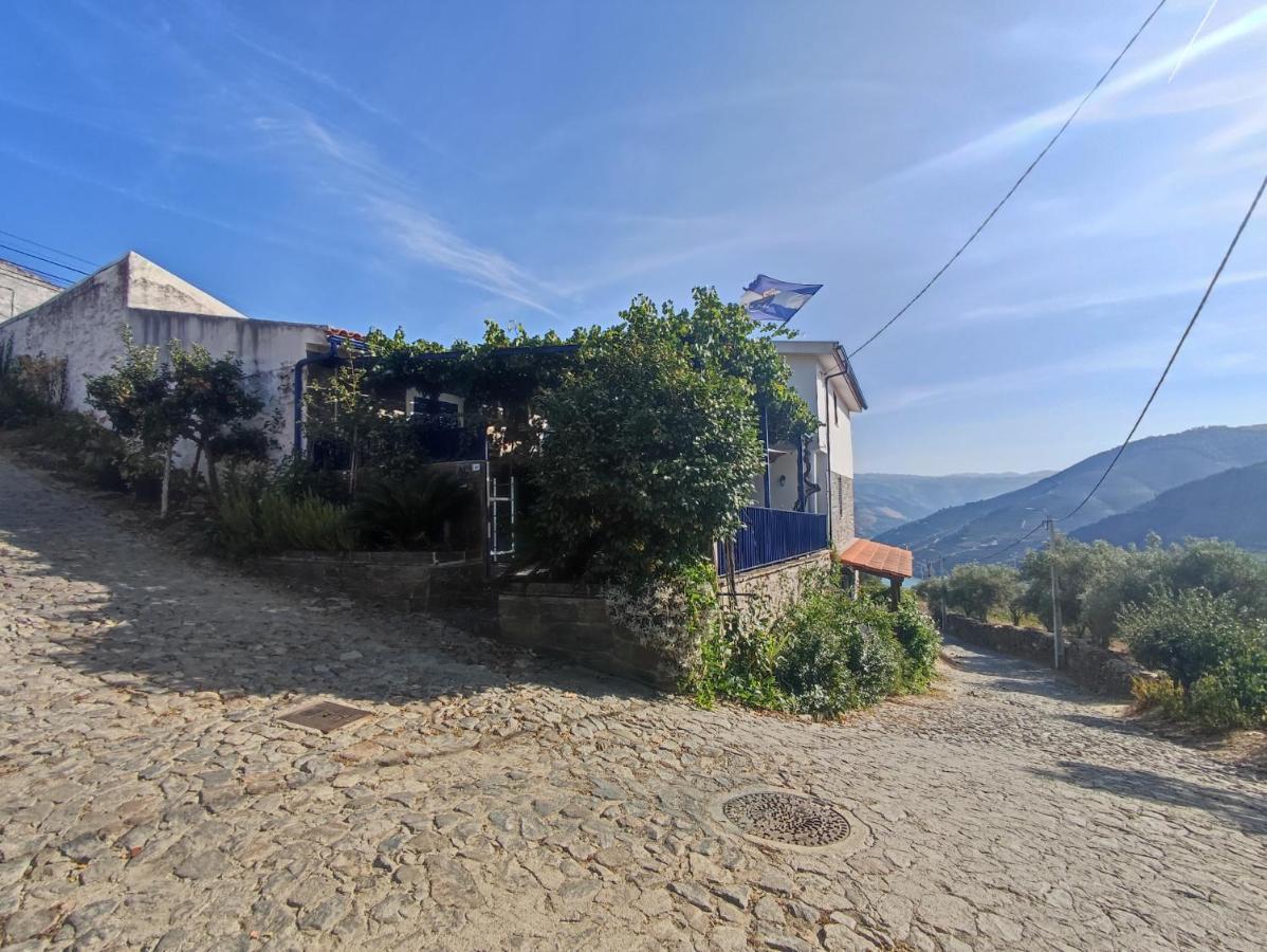 Encosta Do Pinhao Βίλα Casal de Loivos Εξωτερικό φωτογραφία