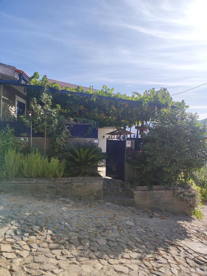 Encosta Do Pinhao Βίλα Casal de Loivos Εξωτερικό φωτογραφία