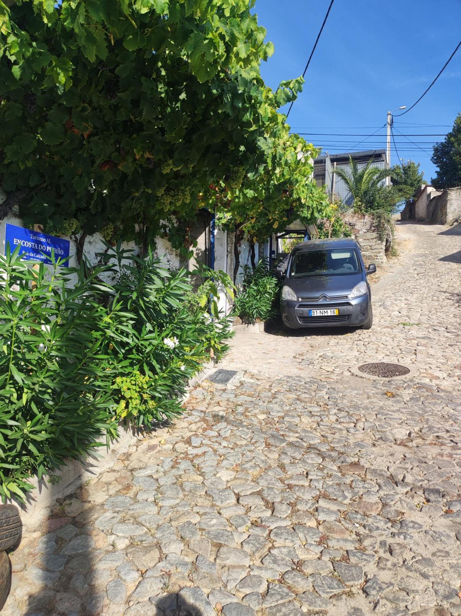 Encosta Do Pinhao Βίλα Casal de Loivos Εξωτερικό φωτογραφία